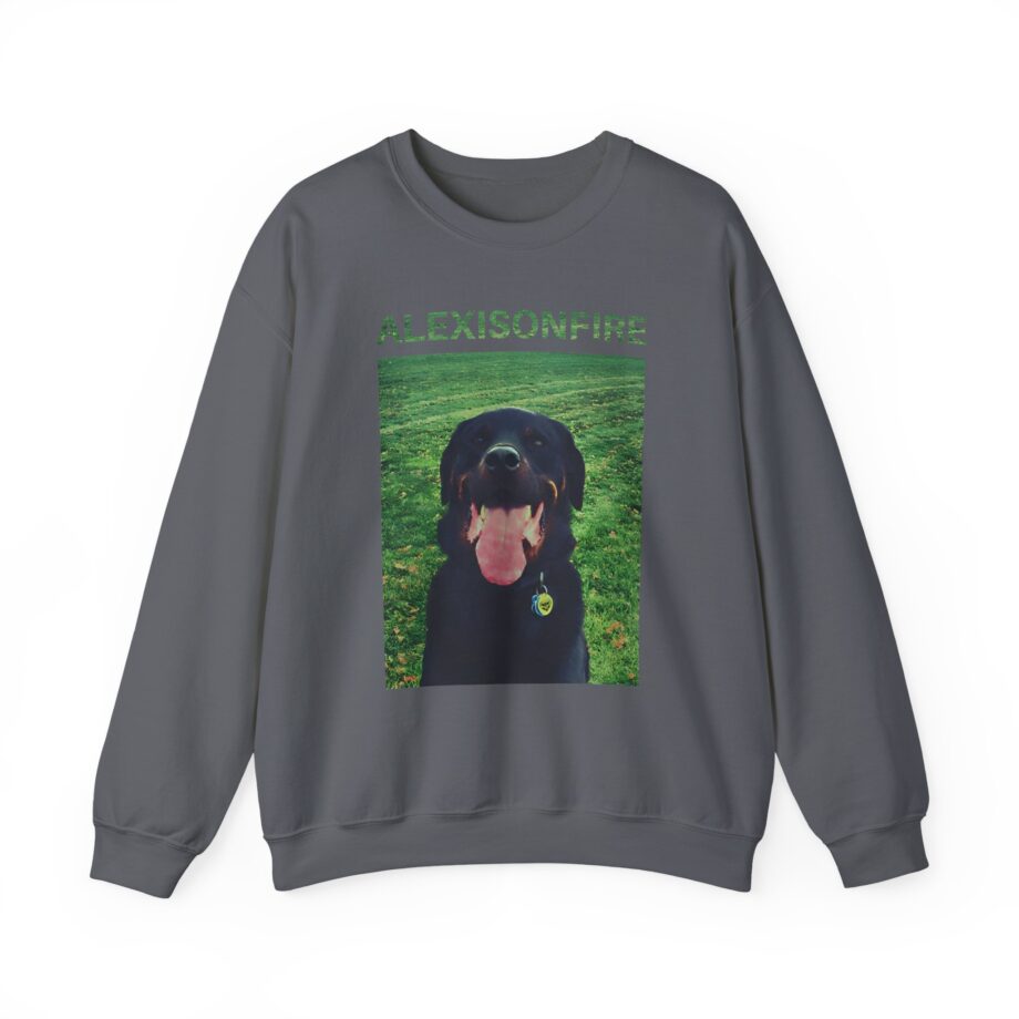Alexisonfire Brixton Unisex Heavy Blend™ Crewneck Sweatshirt