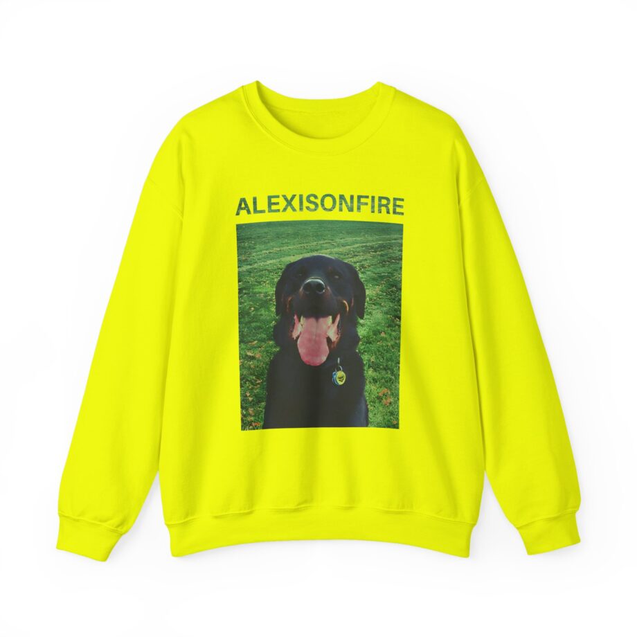 Alexisonfire Brixton Unisex Heavy Blend™ Crewneck Sweatshirt