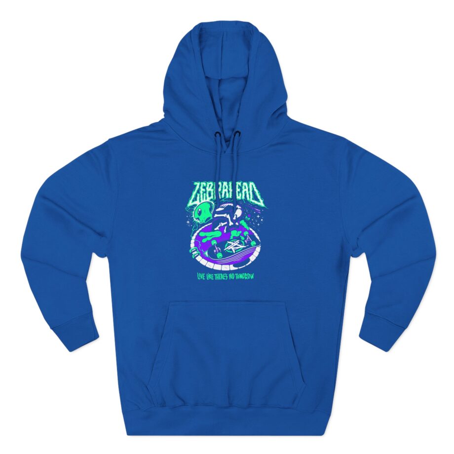 Zebrahead Three-Panel Fleece Hoodie