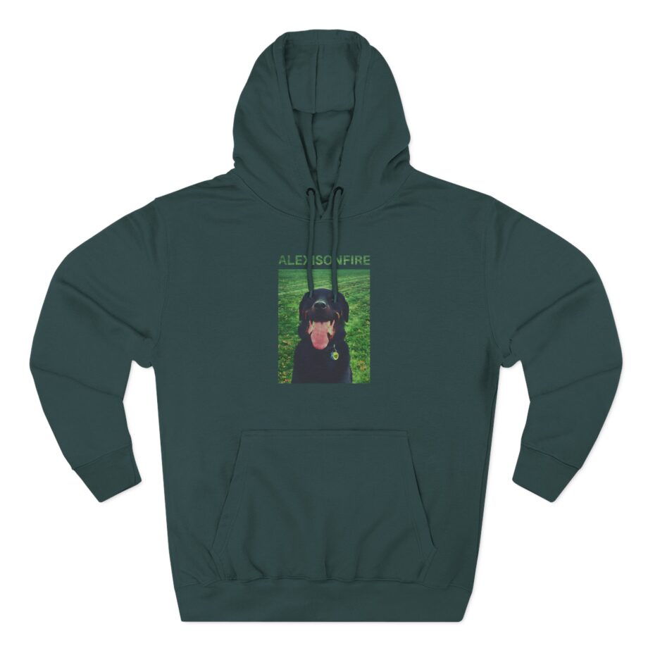 Alexisonfire Brixton Three-Panel Fleece Hoodie