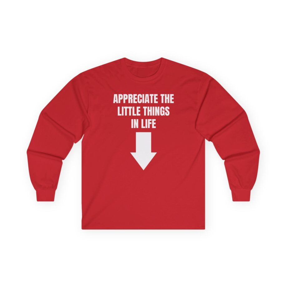 Jynxzi Appreciate the Little Things in Life Unisex Ultra Cotton Long Sleeve Tee
