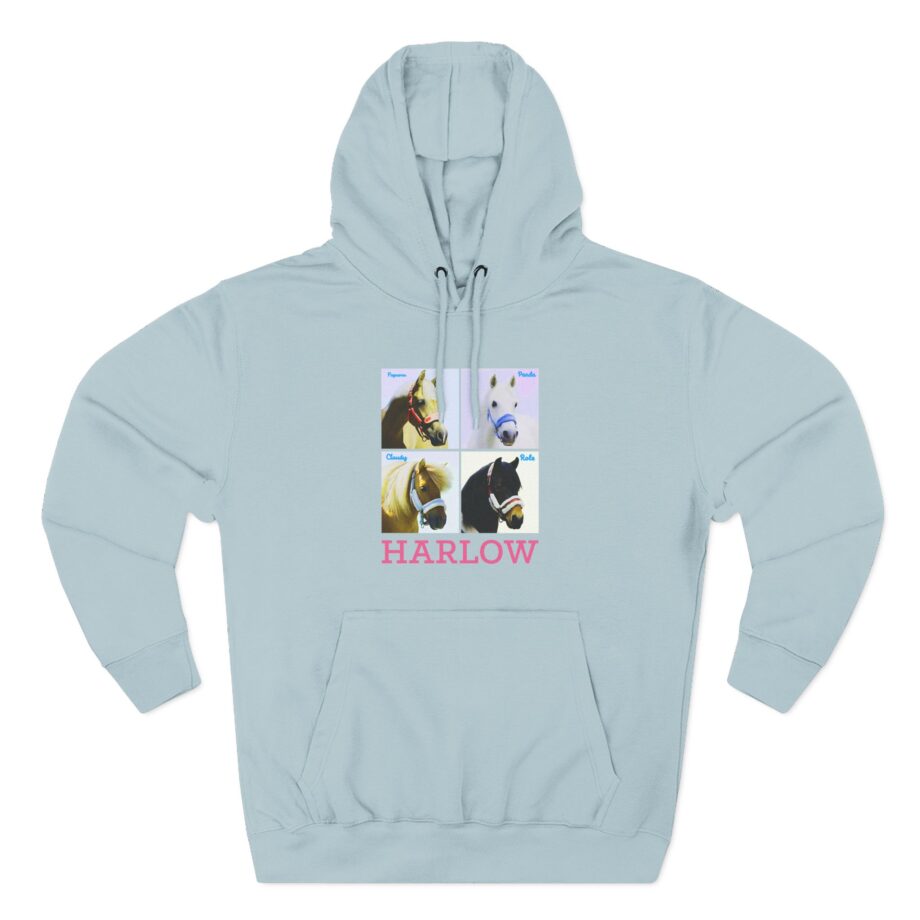 Harlow and Popcorn Three-Panel Fleece Hoodie