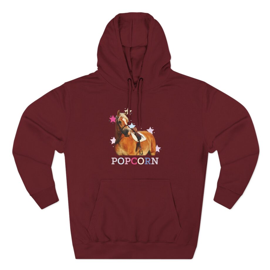 Harlow and Popcorn Stars Three-Panel Fleece Hoodie