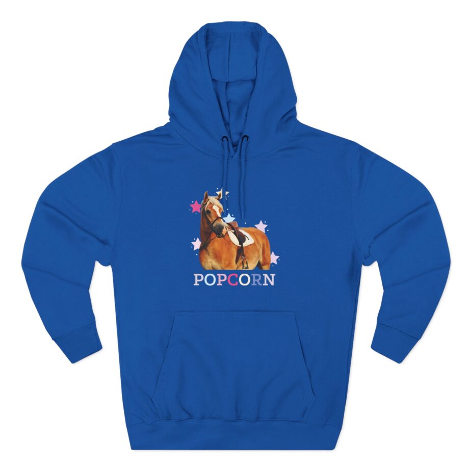 Harlow and Popcorn Stars Three-Panel Fleece Hoodie