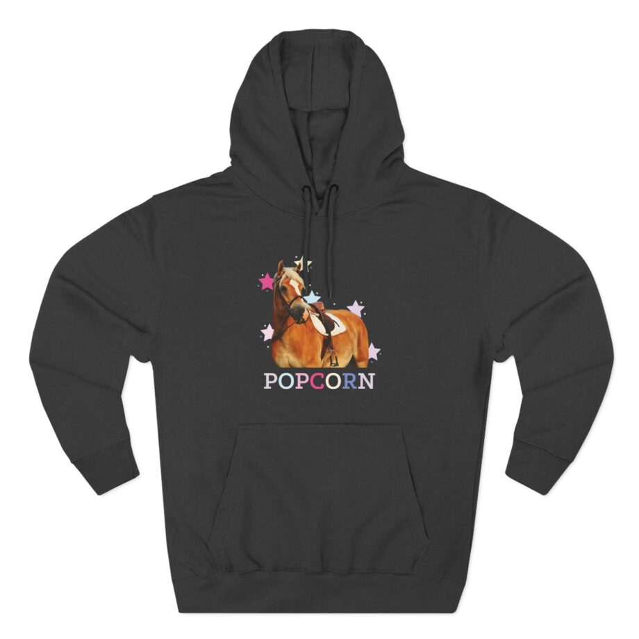 Harlow and Popcorn Stars Three-Panel Fleece Hoodie