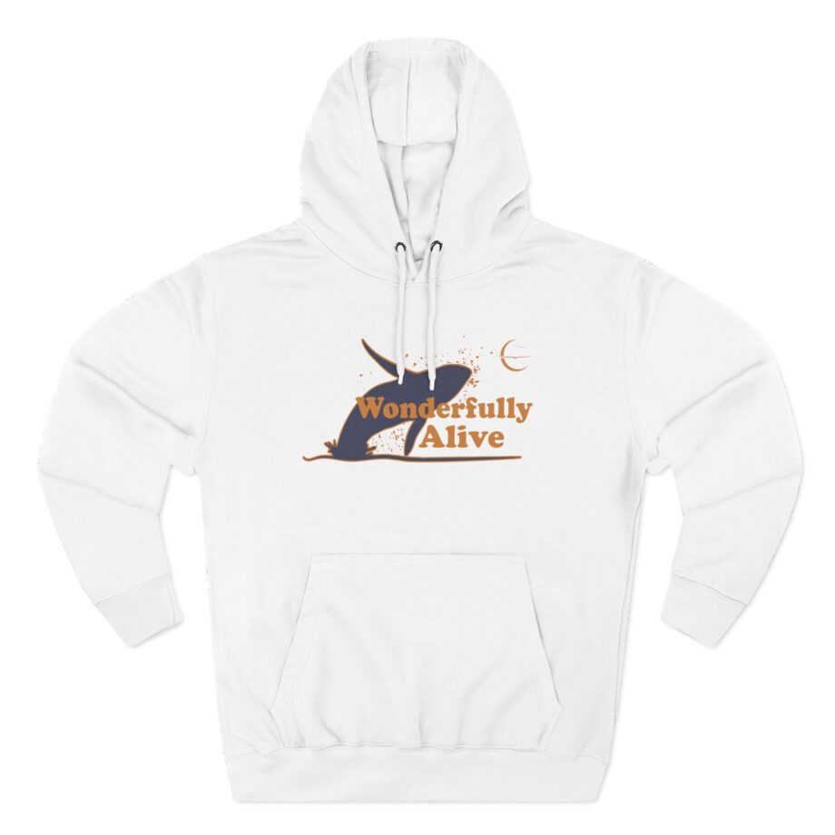 Owl City Wonderfully Alive 3/4 Three-Panel Fleece Hoodie