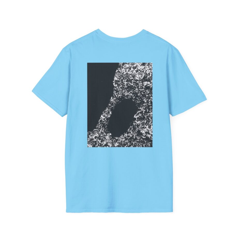 Bicep AYR Unisex Softstyle T-Shirt