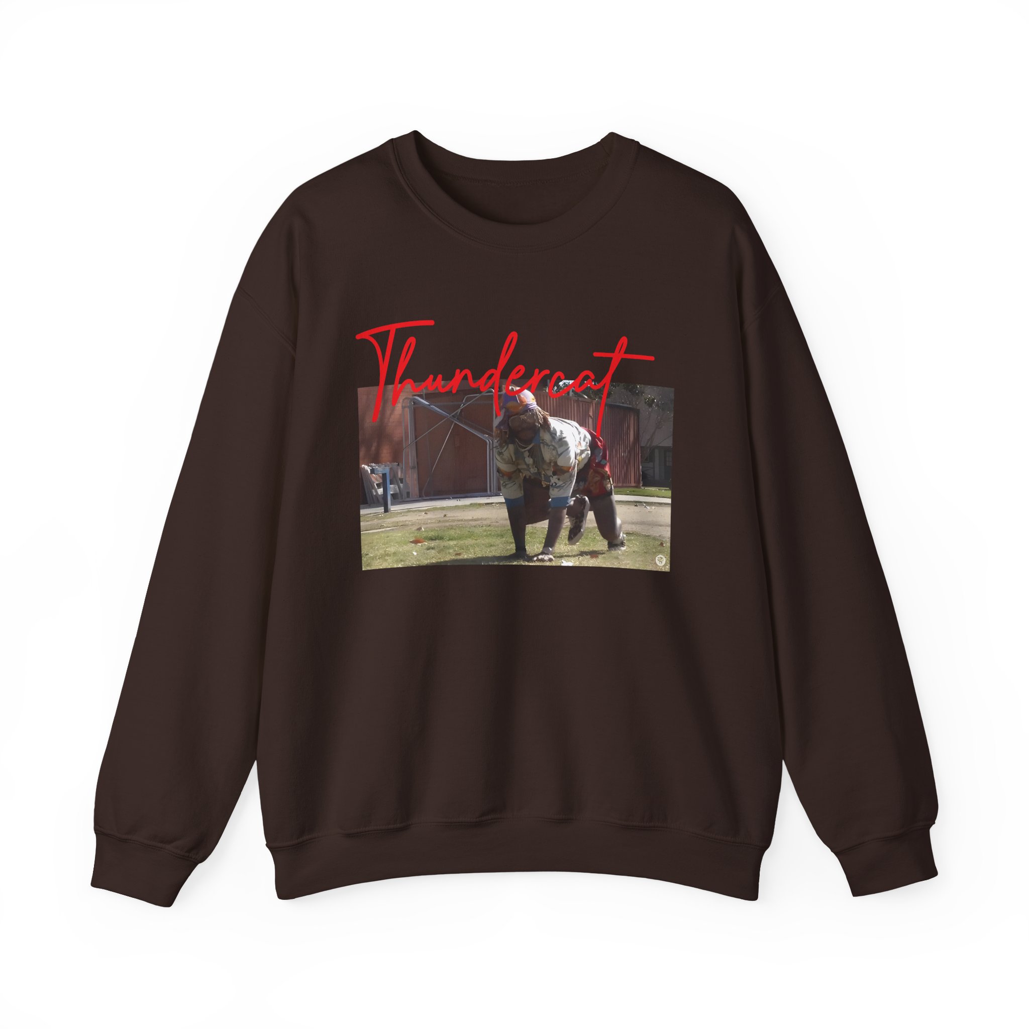 Thundercat Crouching Unisex Heavy Blendâ„¢ Crewneck Sweatshirt