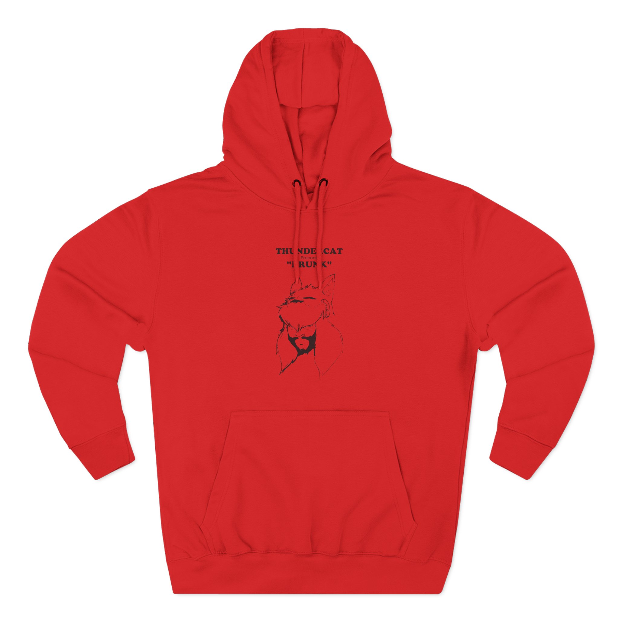 Thundercat Three-Panel Fleece Hoodie
