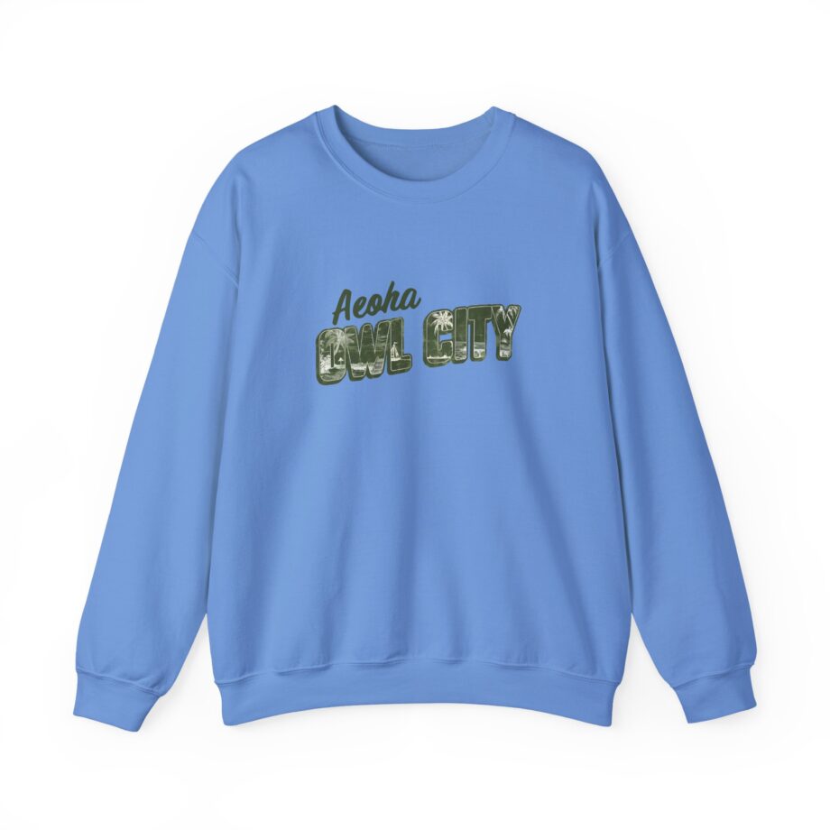 Owl City Unisex Heavy Blend™ Crewneck Sweatshirt